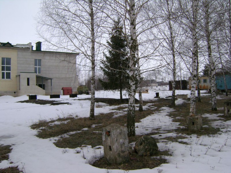 Фото школы